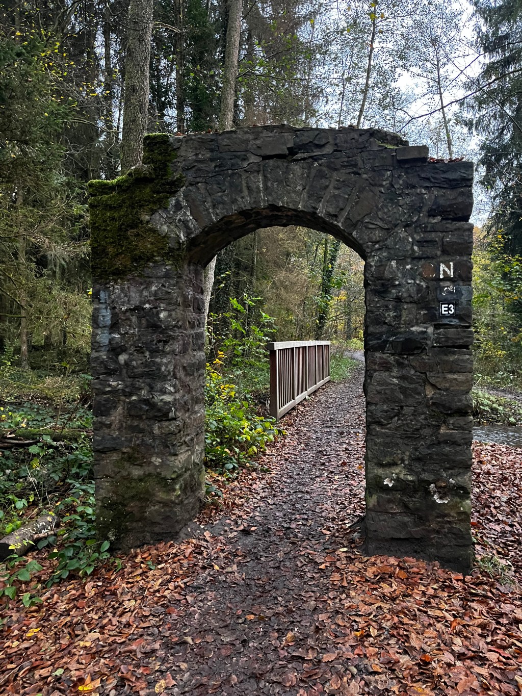 🌲 Ich sehe den Wald vor lauter Bäumen nicht
